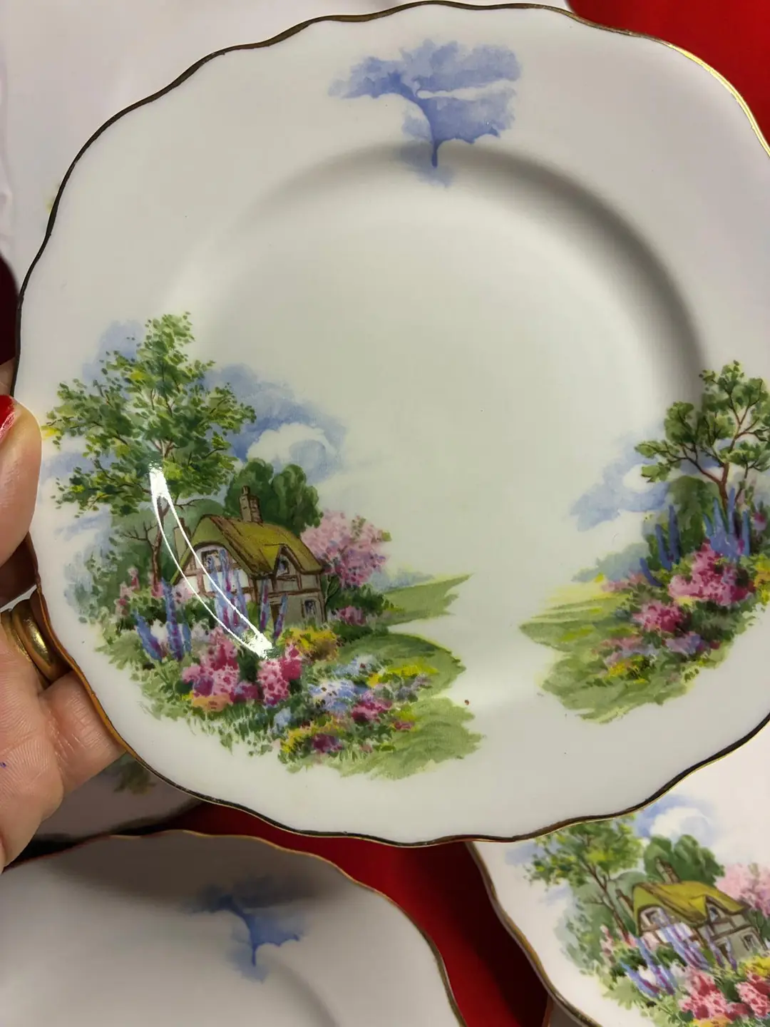 Royal Vale İngiliz Bone China Servis ve Pasta Tabağı Seti