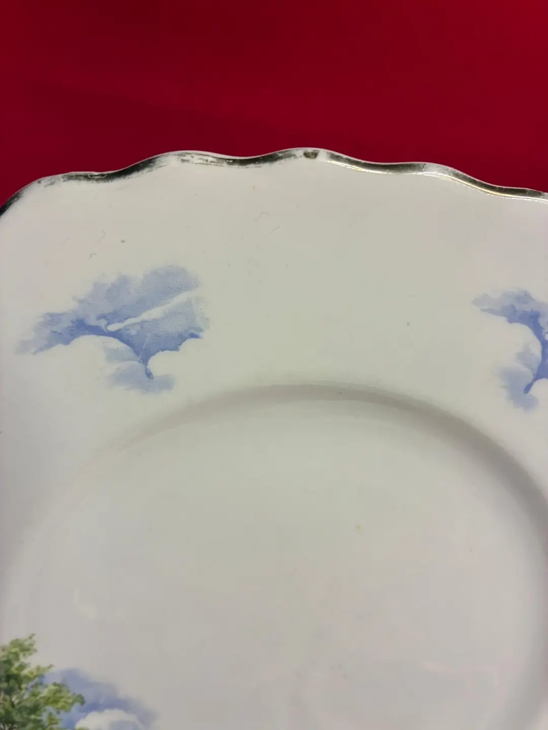 Royal Vale İngiliz Bone China Servis ve Pasta Tabağı Seti